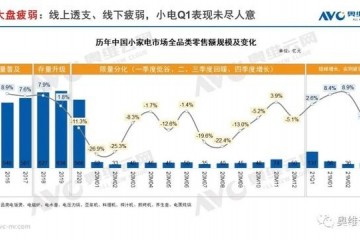 2021年第一季度小家电市场盘点